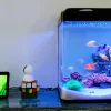 A fis tank with fish swimming inside on the table.