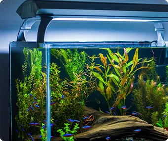 Environmental Lighting