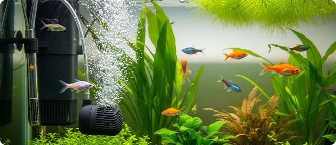 Filtration System