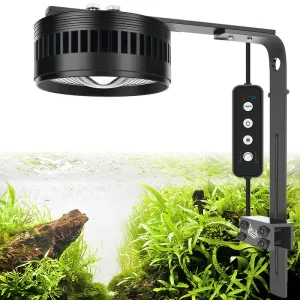A black aquarium stream light is lighting the tank.