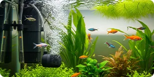 phone Filtration System