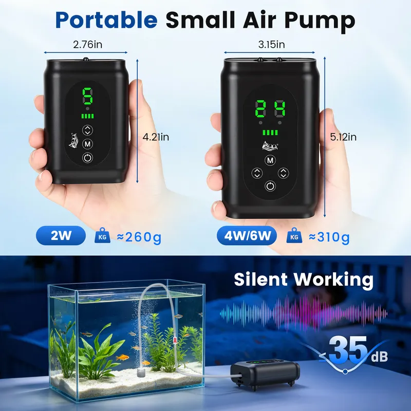 Portable air pump