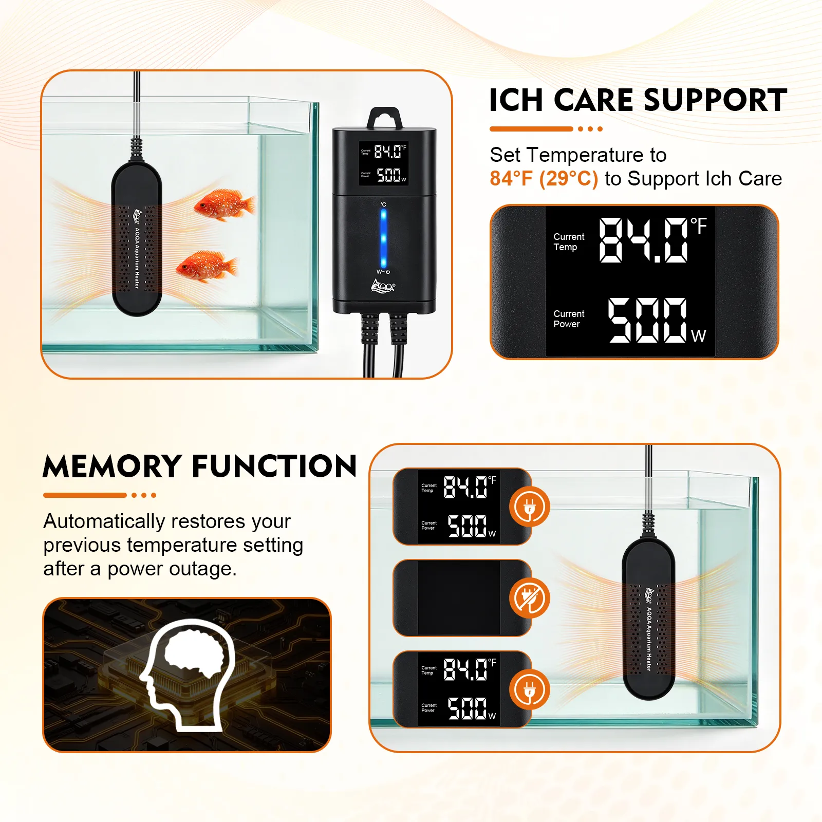 ICH Case Support