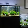 Two aquariums are on the different stands in a room.