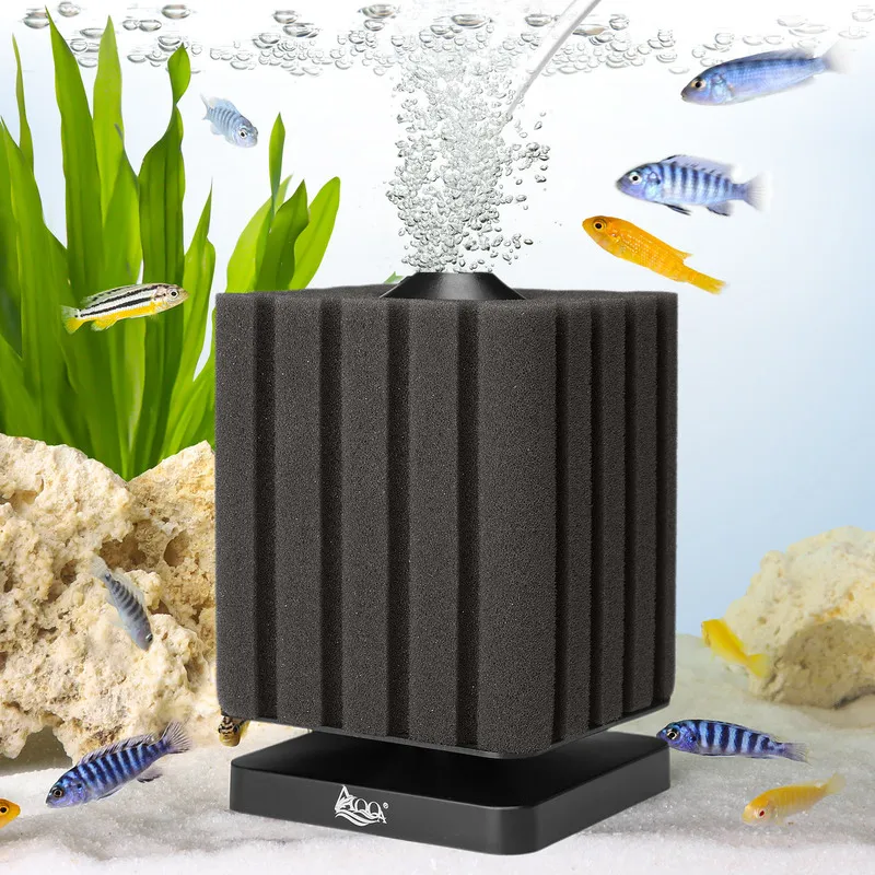 A black filte is bubbling in the water with fish.