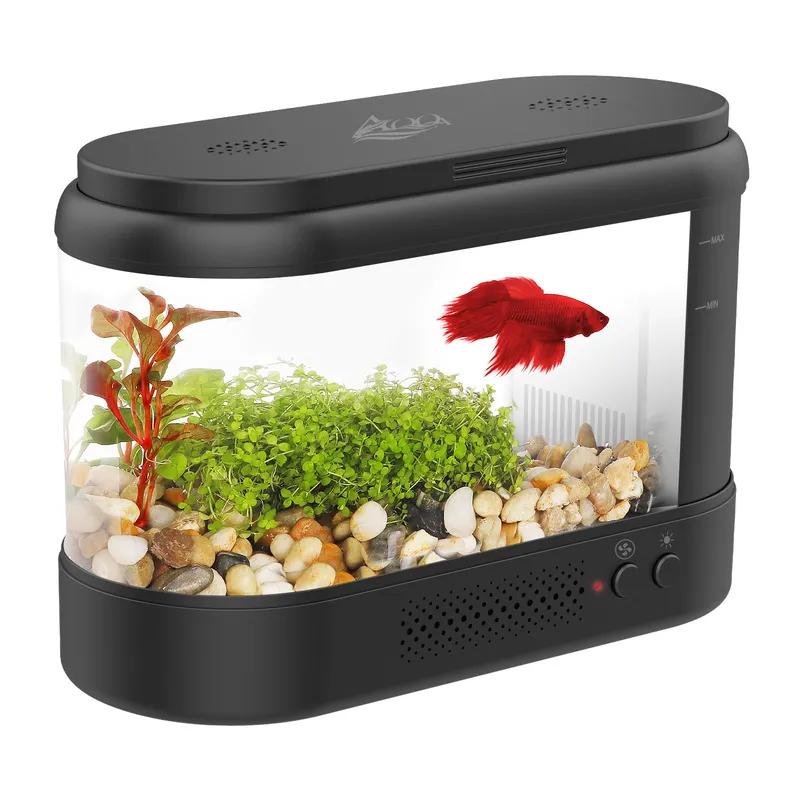 A small fish tank with plants and fish.