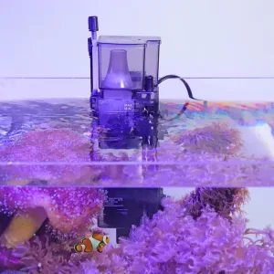 Aquarium protein skimmer is working for a fish tank.