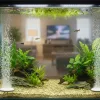 2 air stones are bubbling for a freshwater fish tank.
