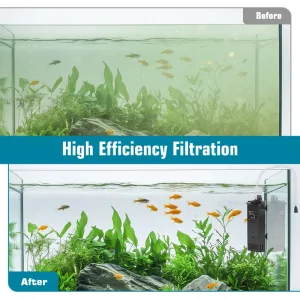 The difference between before and after using filter.