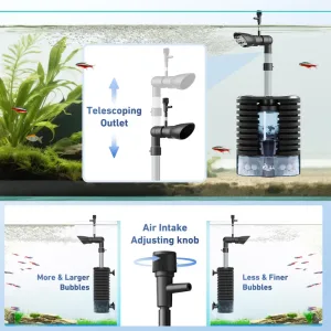 How the aquarium filter works in a fish tank.