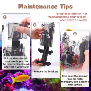 Show the tips to maintain aquarium protein skimmer.
