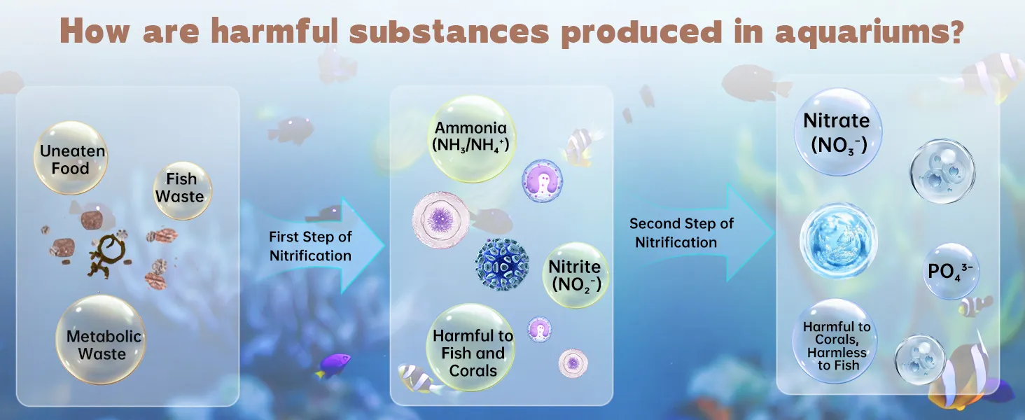 Bunch of harmful factors are produced in aquarium.