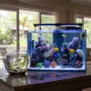 A freshwater fish bowl and a saltwater fish tank are on the table.