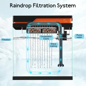How the filtration system works in the fish tank.
