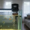 An auto fish feeder is working for feeding.