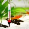 A thermometer is checking the temperature of the fish tank.