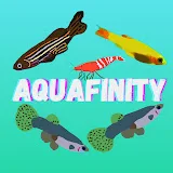 YTB-Aquafinity-US