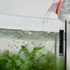 A man is pouring bottle water in the fish tank.