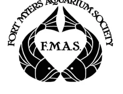 1. FMAS