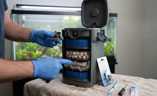 10 Common Problems and Easy DIY Fixes for aquarium filter