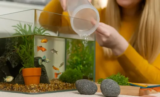 9 Nano Aquascaping Mistakes You Should Avoid as a Beginner