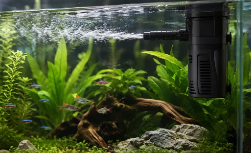 AQQA Aquarium Internal Filter Review Can It Keep Your Tank Clear and Quiet