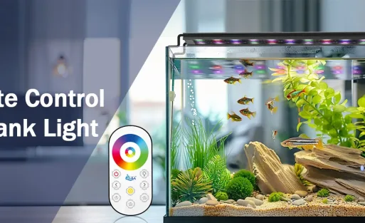 Aquarium Light