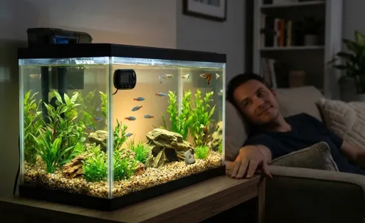 Best Aquarium Fish Tank Starter Sets in 2026