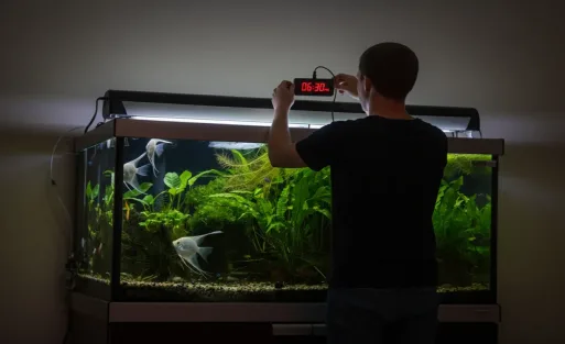 A man is adjust the timer on aquarium light for his fish tank.