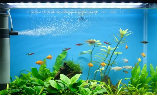 A filter is working for the fish tank, creating the water flow.