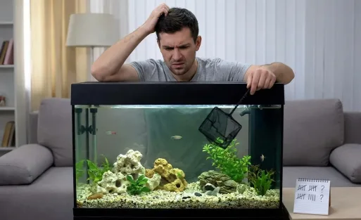 Missing Fish Mystery 7 Reason Checklist for Beginners