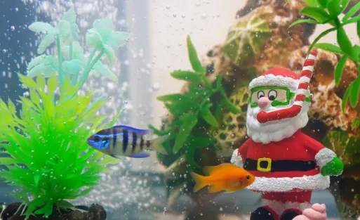 Chritsmas decorarion ideas for aquarium.