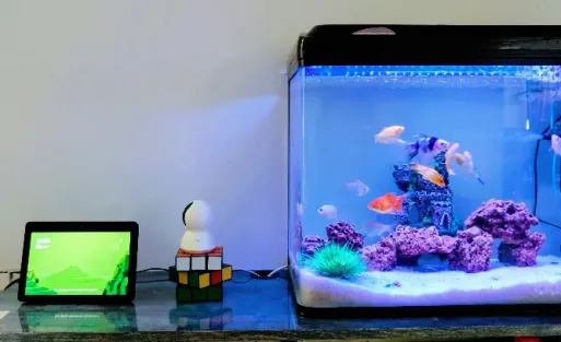 A fis tank with fish swimming inside on the table.