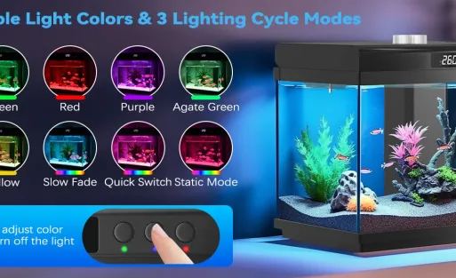 fish-tank-4