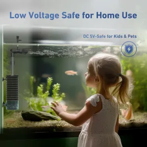 A girl look at the fish with a sponge filter working in the tank.